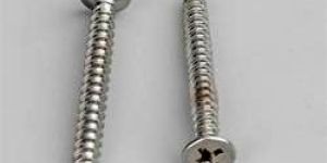Stainless Steel Self Tapping Screws