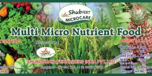 Multi Micro Nutrient Food
