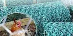 Chicken Wire Mesh