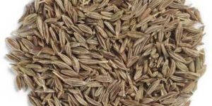 Cumin Seeds
