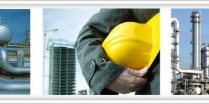 Risk Assessment Services