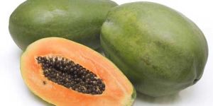 Fresh Papaya