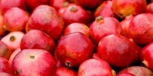 Fresh Pomegranate