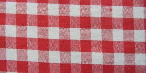 Gingham Fabric