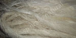 Sisal Fibre