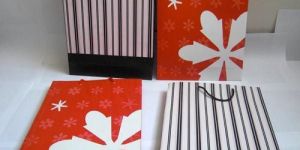 Paper Carry Bags (CIMG0771)