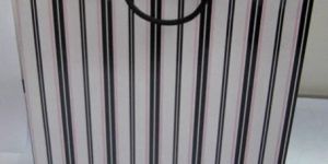 Paper Carry Bags (CIMG0774)