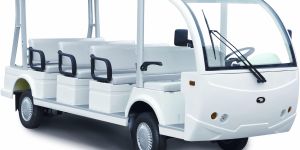 8 Seater Classic Electric Golf Cart