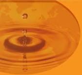 Hydrogenated Castor Oil - Hco