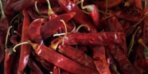 Dried Red Chilli