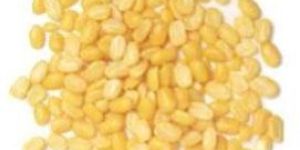 Mung Dal