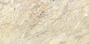 Digital Polished Vitrified Tiles