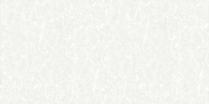 Digital Polished Vitrified Tiles