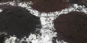 Decomposed Organic Coco Peat