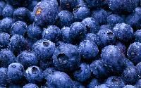 Blueberries