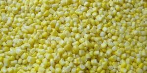 Sweet Corn
