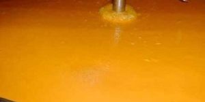 Totapuri Mango Concentrate