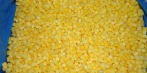 Totapuri Mango Dices