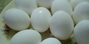 Poultry Eggs