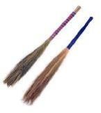 Coconut Stick Broom
