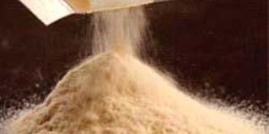 Barley Malt Powder