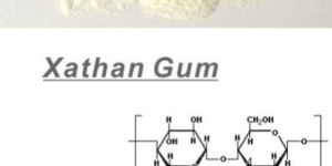 Xanthan Gum
