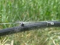 Agricultural Sprinklers