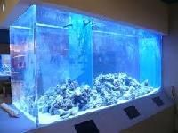 Large Aquarium Tanks