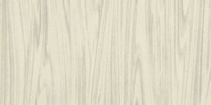 Nano Vitrified Tiles