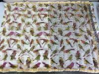 Screen Printed Sarees