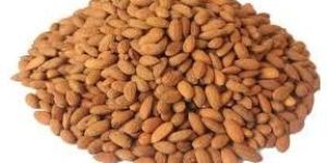 Kashmiri Almond