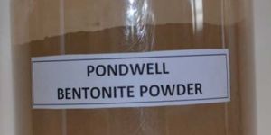 Pondwell