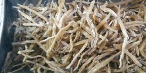 Dried Kutki Root