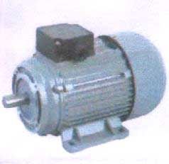 Electric Induction Motors