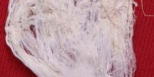 Banana Stem Fibre Wicks