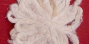 Lotus Stem Fibre Wicks