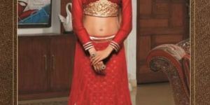 Red Embroidered and Handworked Net Designer Lehenga Choli