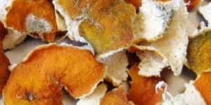Dried Orange Peel