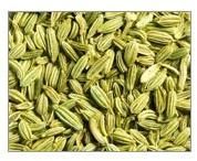 Fennel Seeds