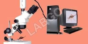 Zoom Stereo Microscope