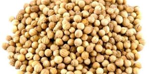 Coriander Seeds