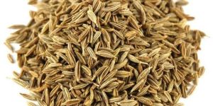 Cumin Seeds