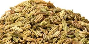 Fennel Seeds