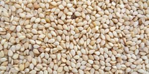 Sesame Seeds
