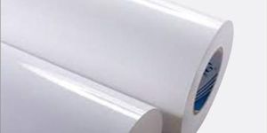 Pe Coated Paper