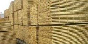 Pine Wood Lumber