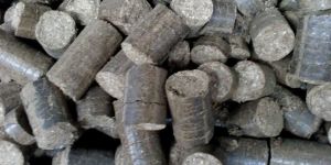Biomass Briquette