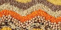 Organic Food Grains