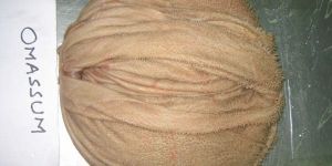 COOKED BUFFALO OMASUM