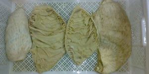 COOKED  BUFFALO OMASUM